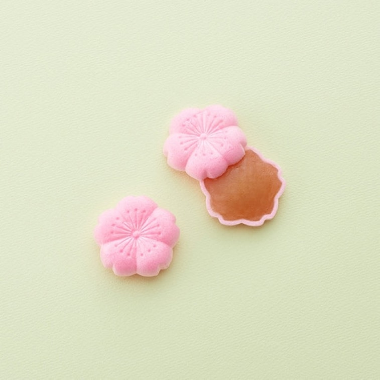 Small Yokan 4pieces Red Bean Cake Assortment - Image 5